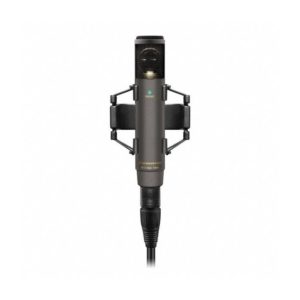 SENNHEISER MKH 800 TWIN NEXTEL