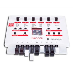 FERROFISH B4000+