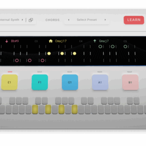 Fluid Chords
