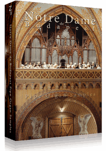 Notre Dame de Budapest Looped Edition