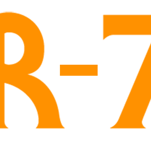 CR-78 Drum Machine - Image 3