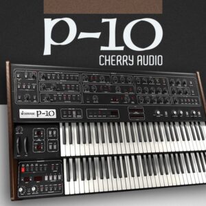 P-10 Synthesizer - Image 2